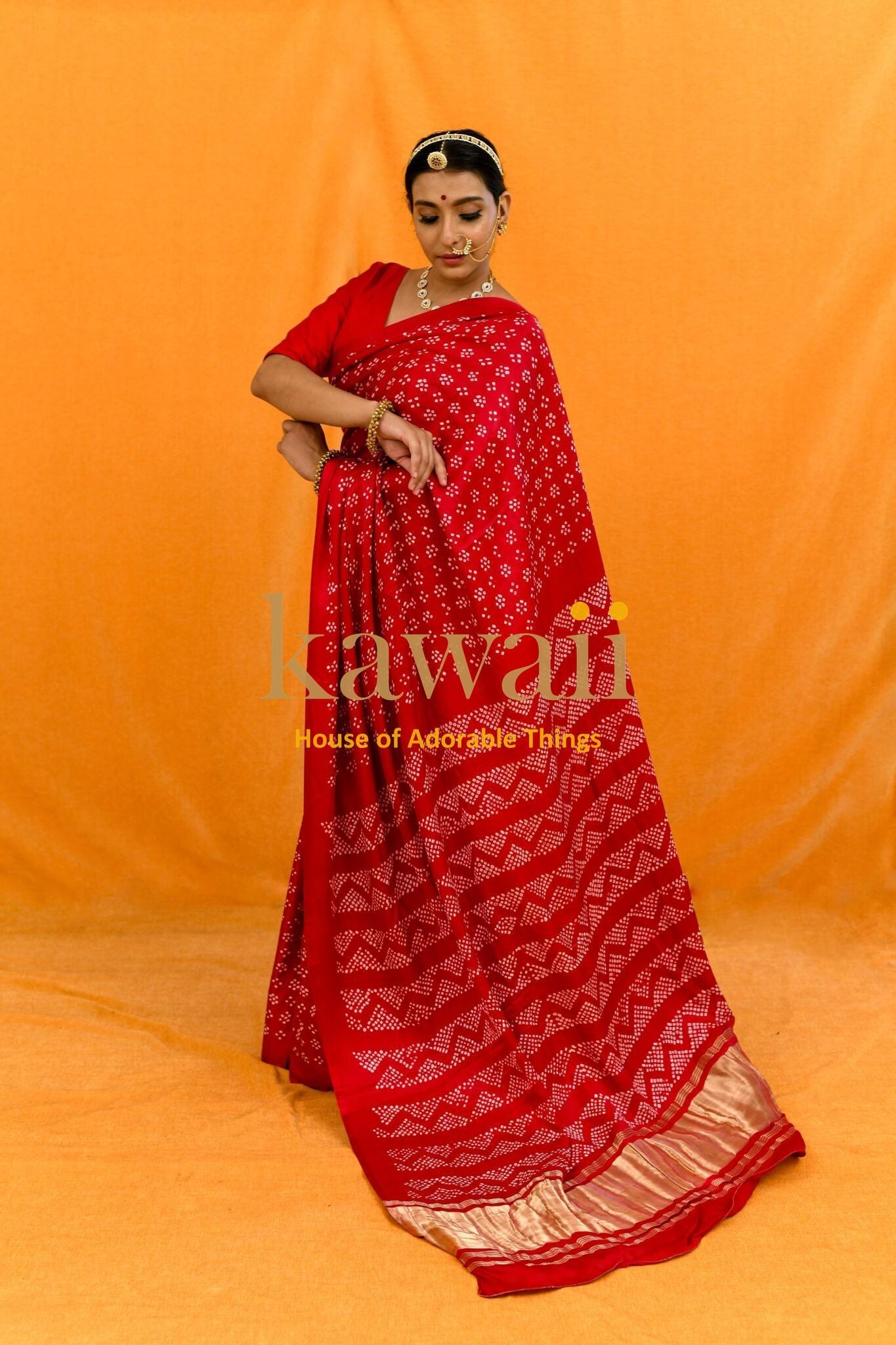 Banno Bandhani Saree