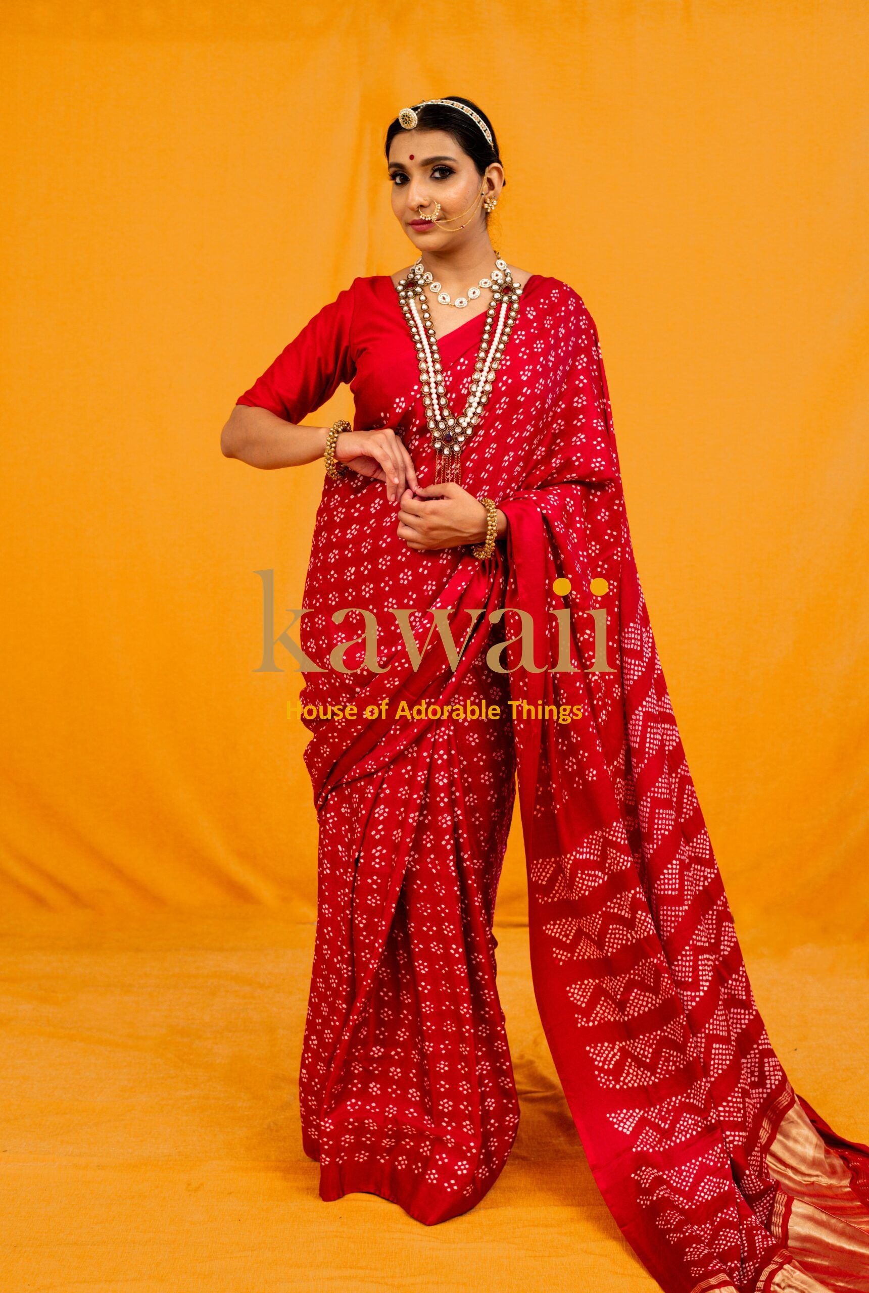 Banno Bandhani Saree