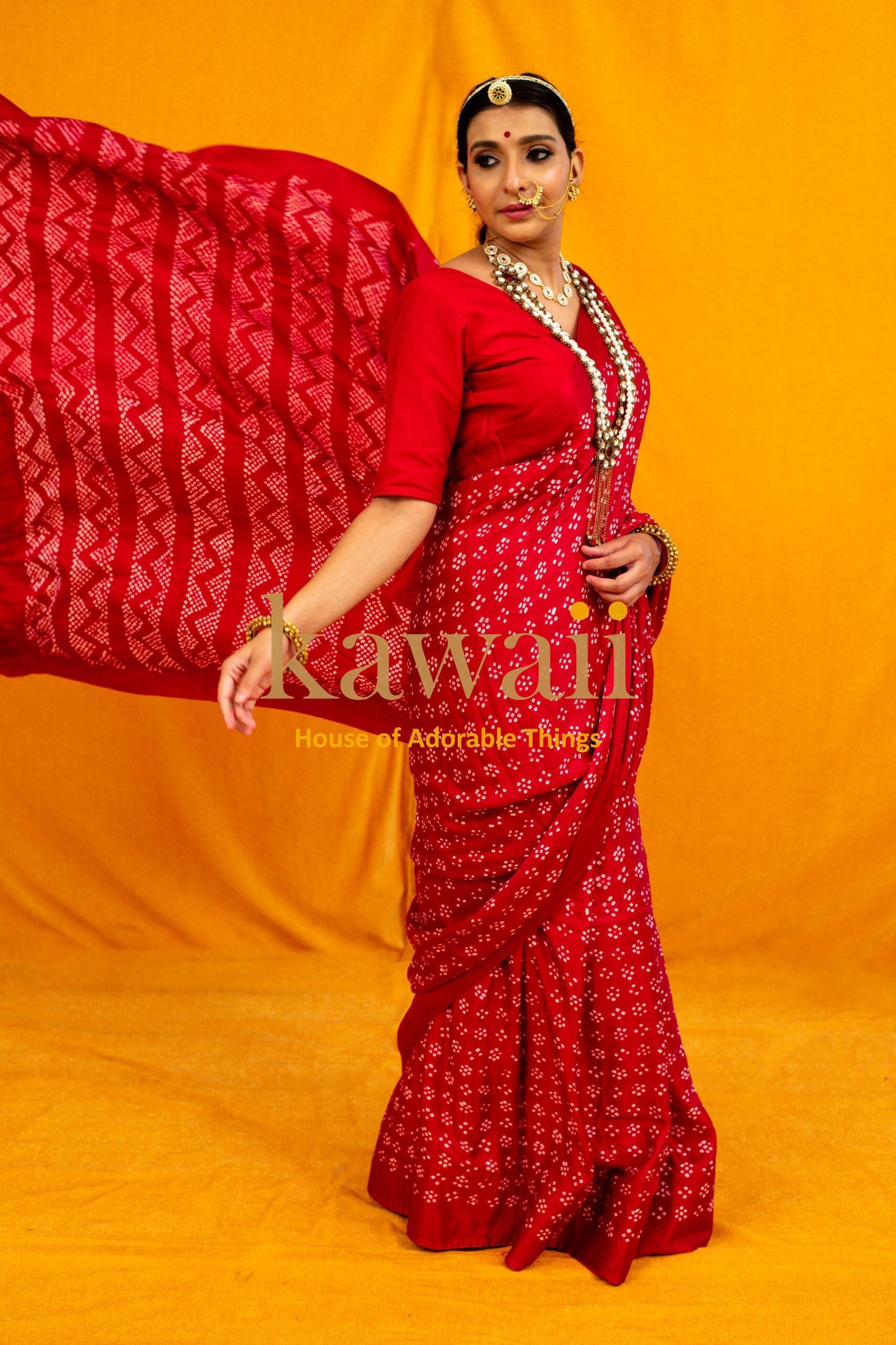 Banno Bandhani Saree