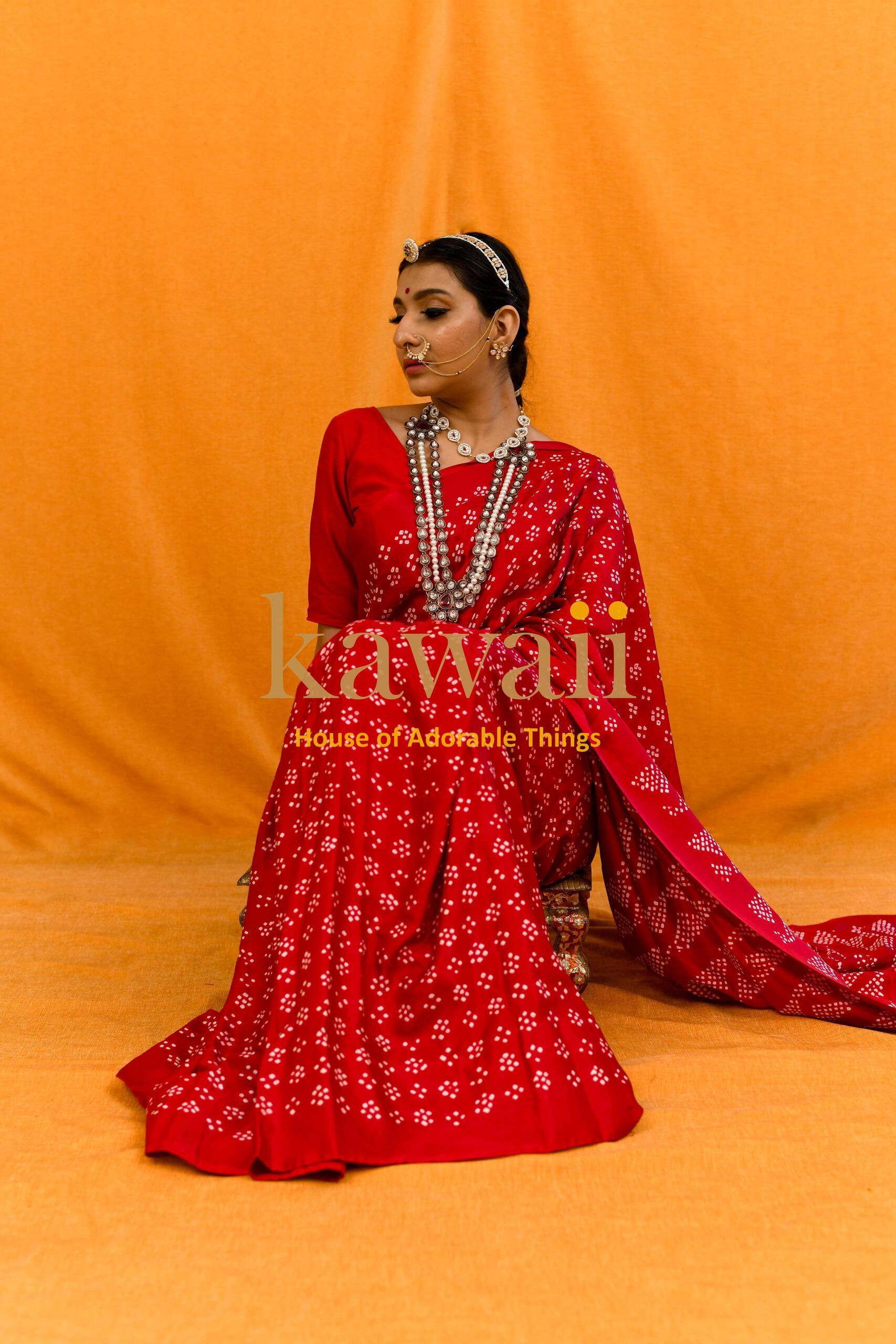 Banno Bandhani Saree