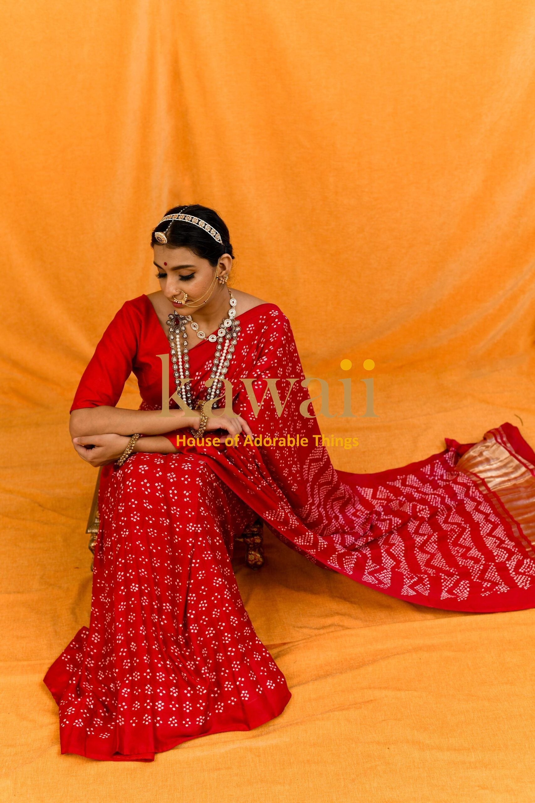 Banno Bandhani Saree