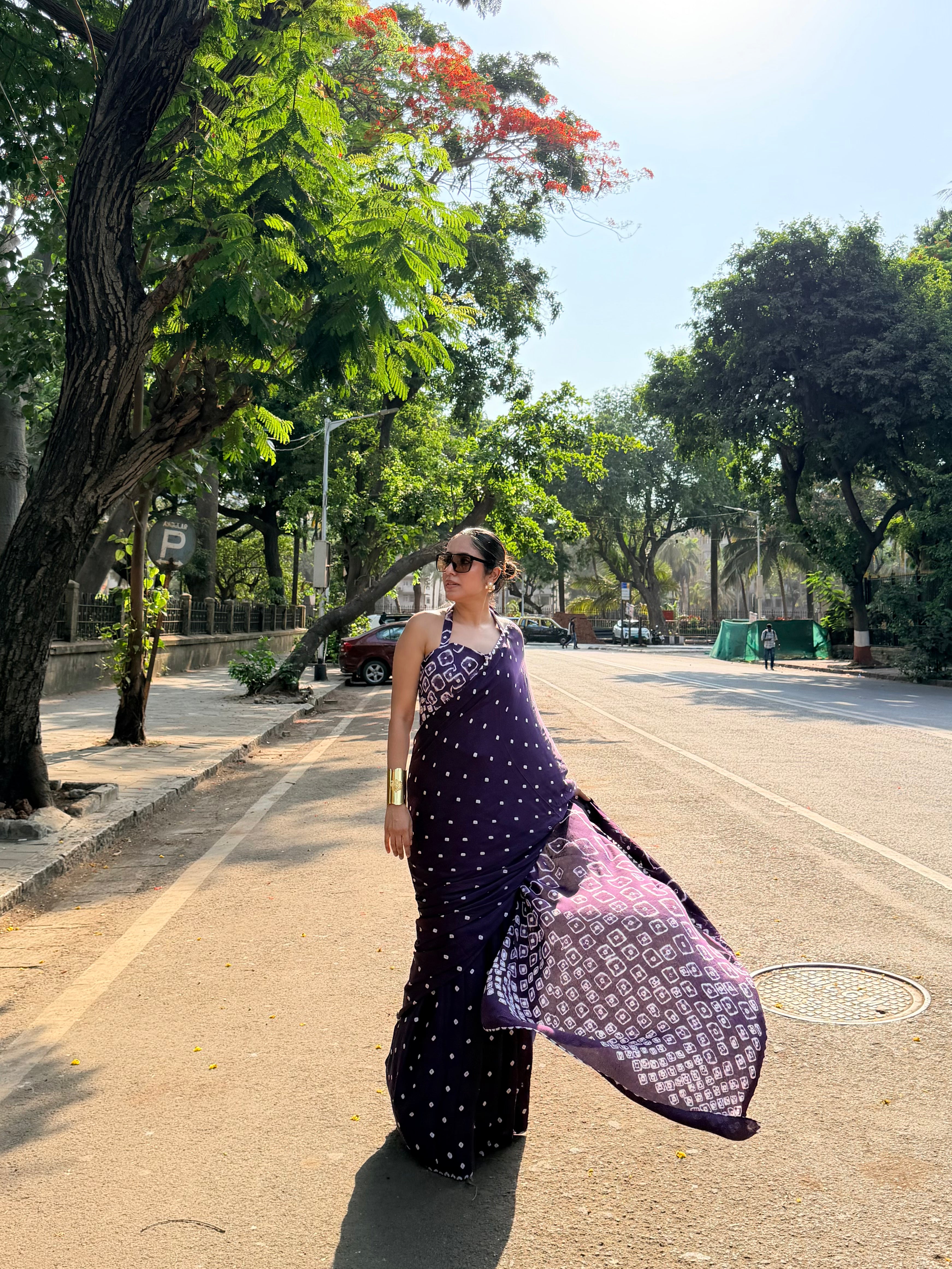 Rogan Bandhani Saree