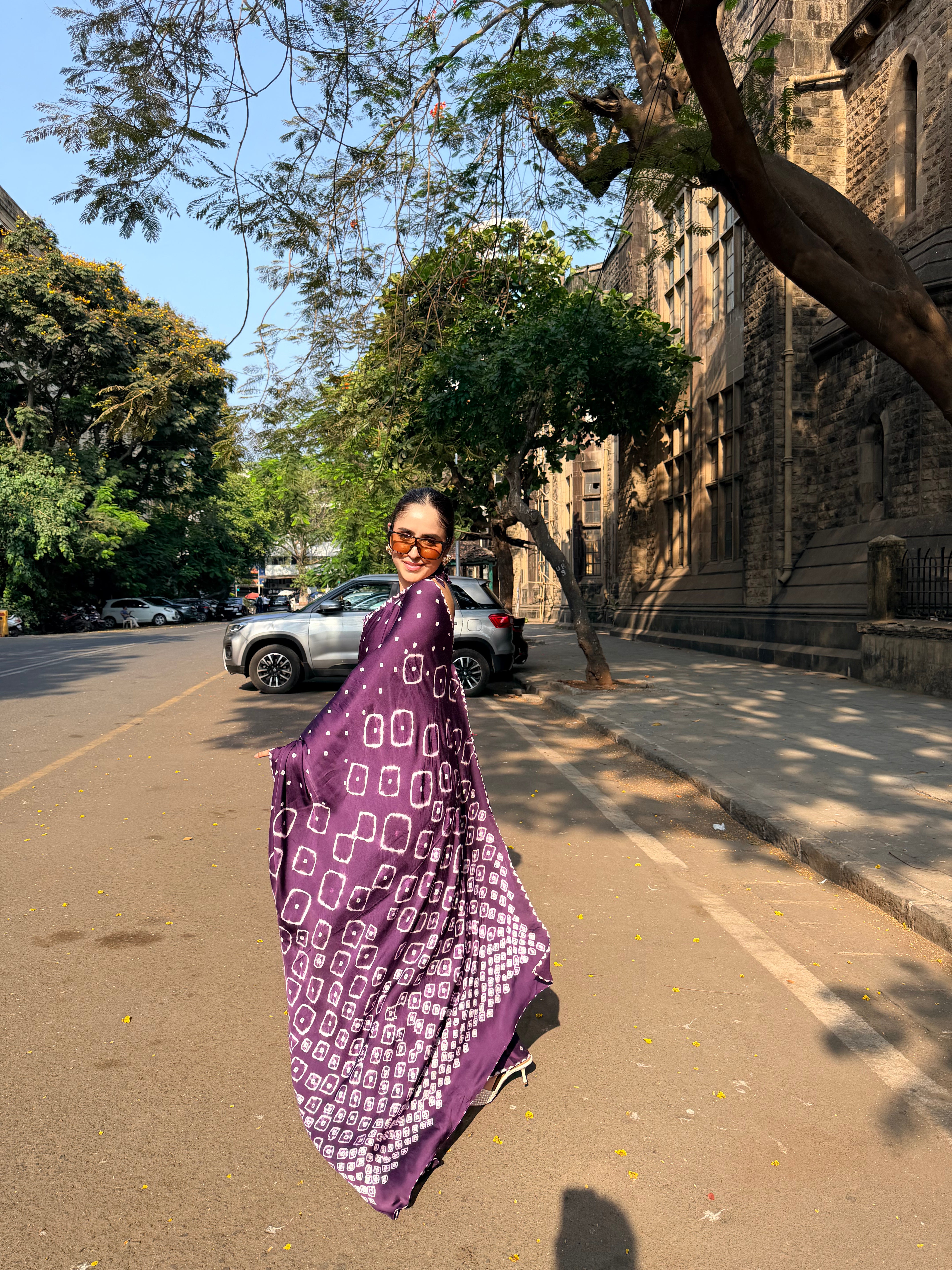 Rogan Bandhani Saree