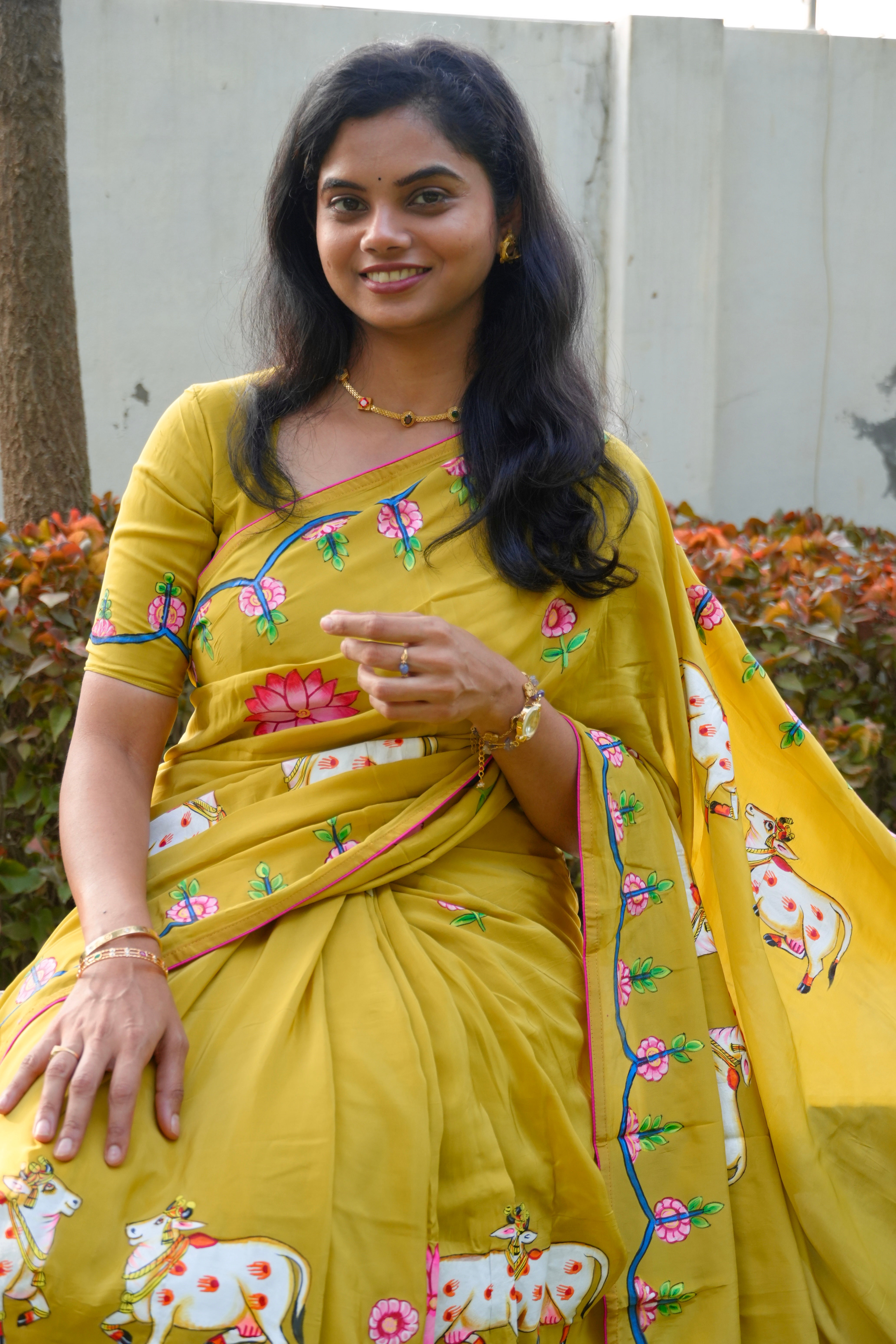 Viraha Pichwai Saree