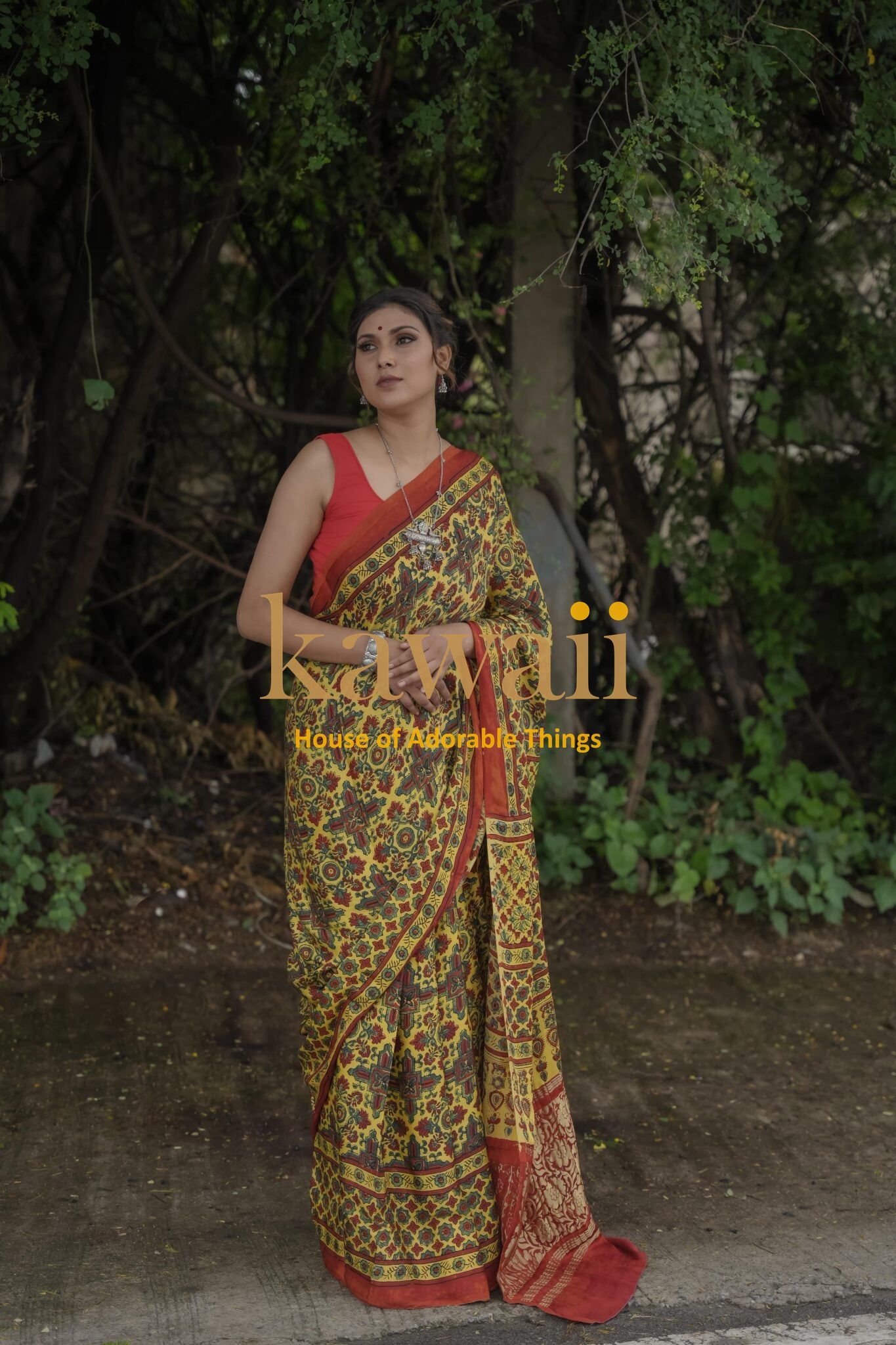 Woman wearing a traditional ajrakh saree with intricate patterns and a red blouse outdoors