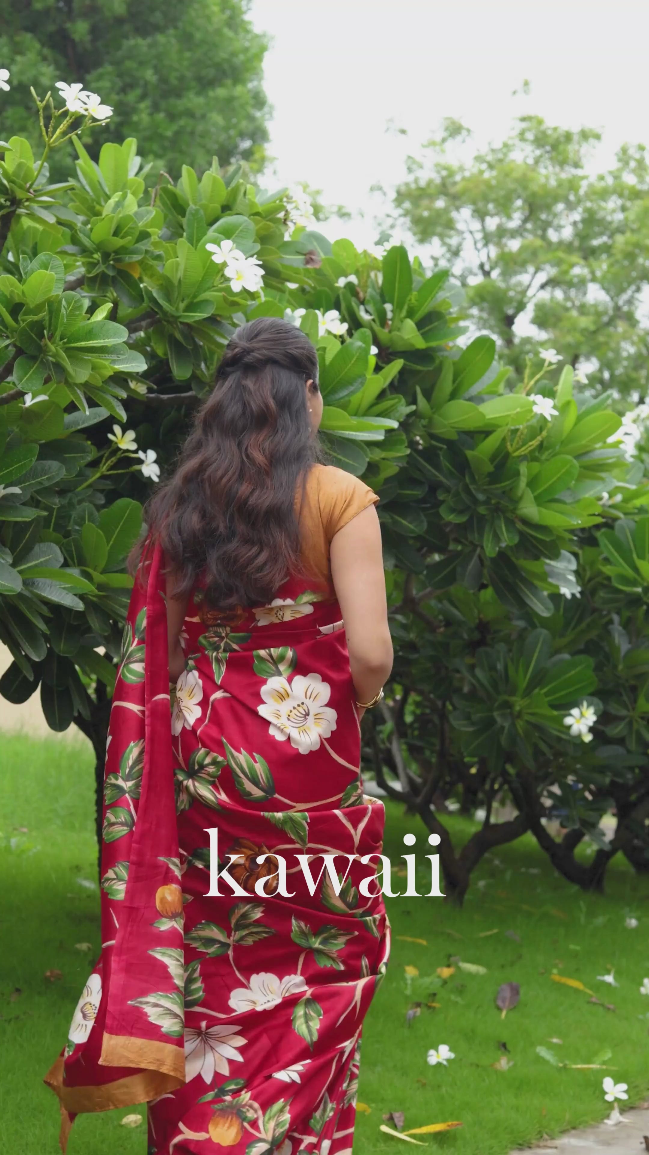 Parina Handpainted Design Saree