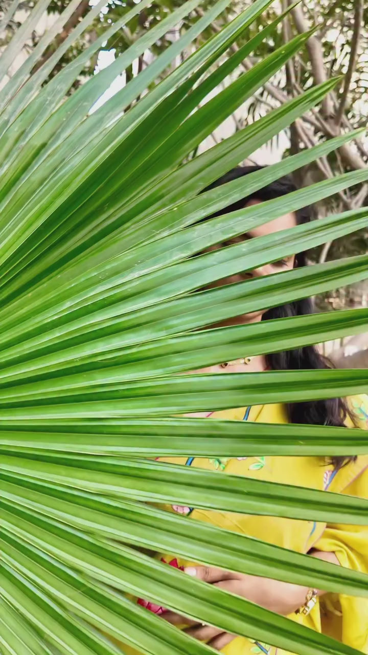 Viraha Pichwai Saree