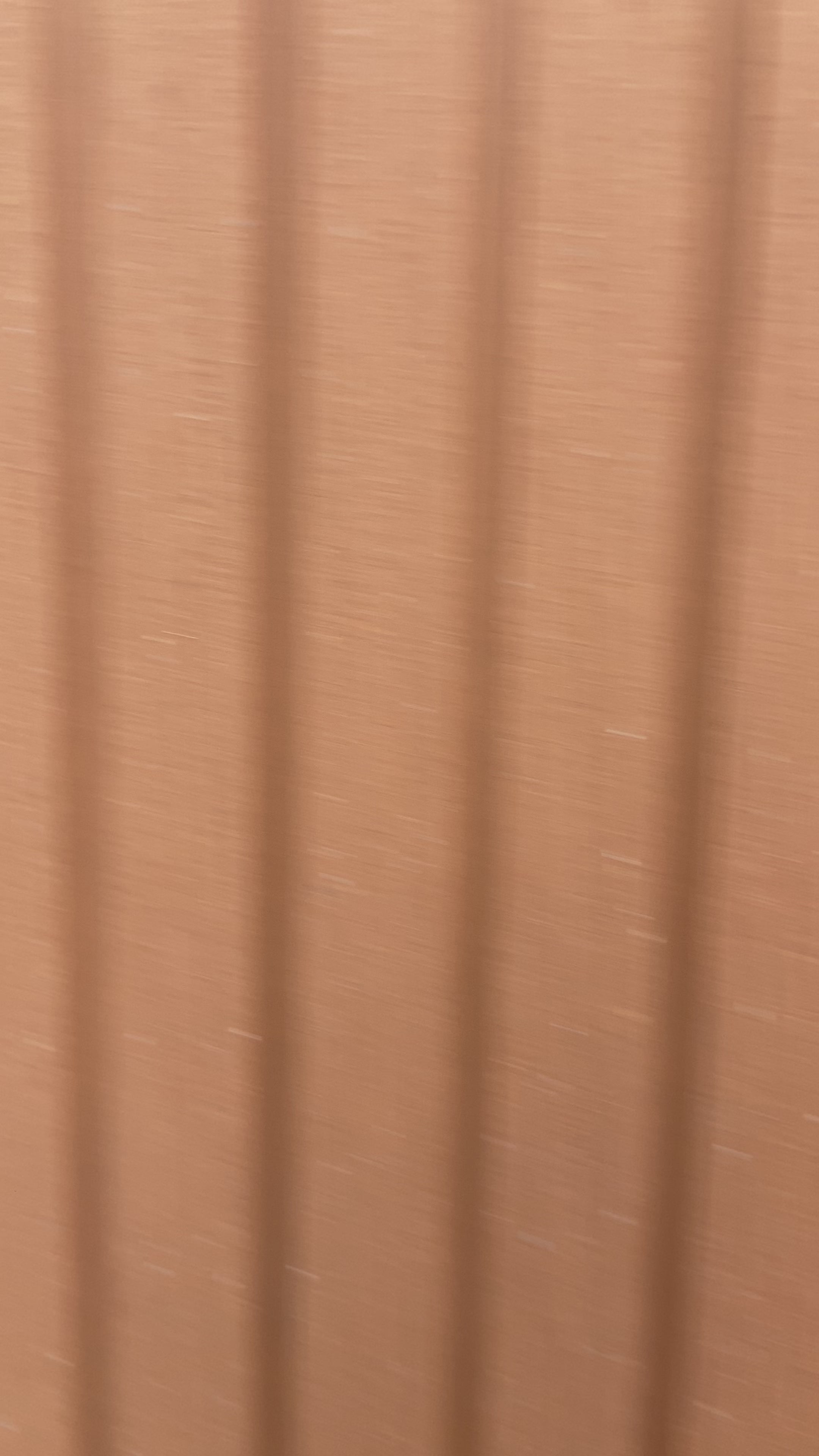 Anu Mishra in Kalamkari Saree